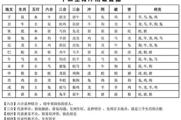 属龙可以找对象吗男生,属龙男性的对象选择指南