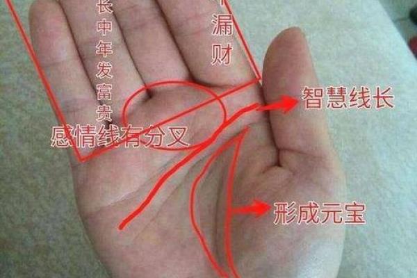 八字掌纹右手女命好吗 右手女命八字掌纹好吗