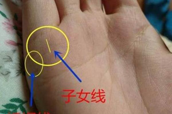 八字掌纹右手女命好吗 右手女命八字掌纹好吗