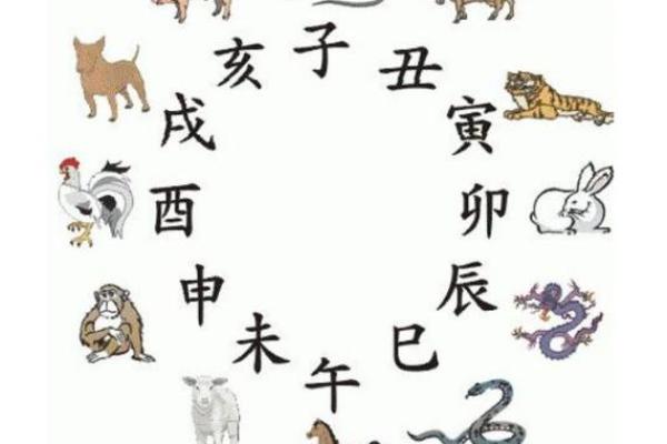 属虎和什么属虎相配(属虎与哪些生肖最为相配)