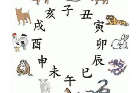 属虎和什么属虎相配(属虎与哪些生肖最为相配)