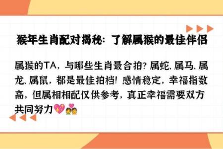 属猴男的和属鼠女配不配,属猴男与属鼠女是否合适