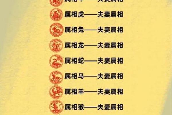 属龙跟哪个属相相配(属龙与哪些属相相合适)