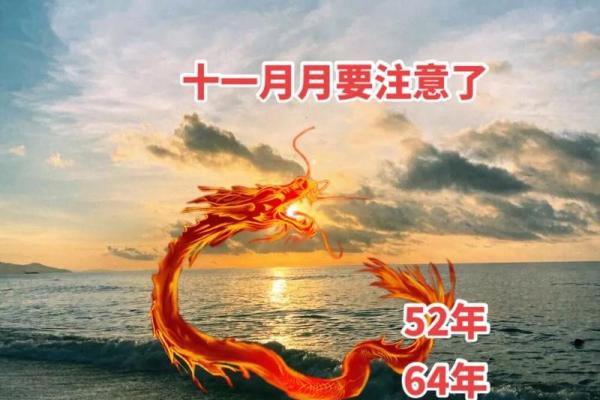 属龙能跟属龙相配吗(属龙人是否与属龙人相良配)