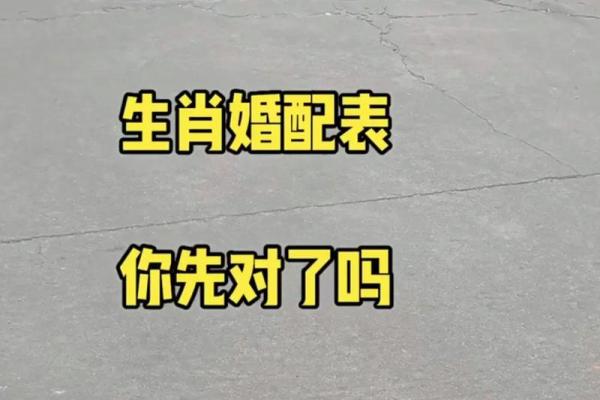 属马和兔相配如何(马兔缘分如何搭配更佳)