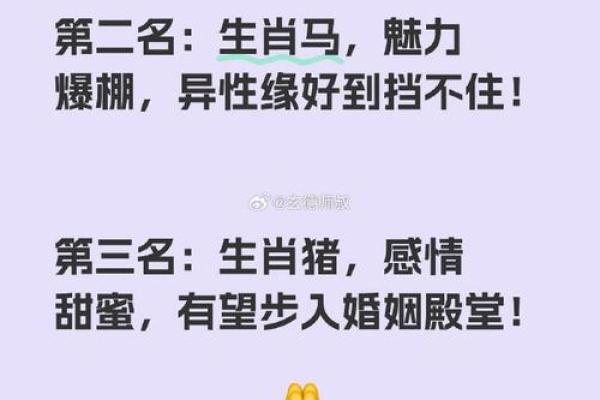 属马和兔相配如何(马兔缘分如何搭配更佳)
