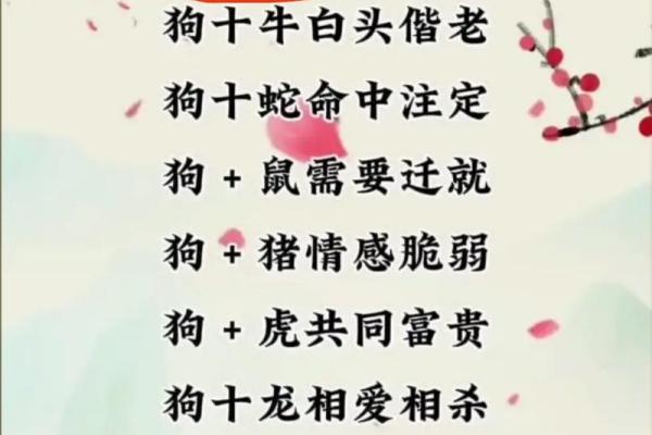 属虎猴和属猴女相配吗(虎年男性与猴年女性的婚配适合度怎样)