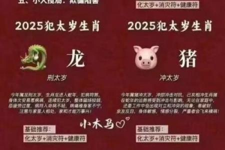 属龙和属虎的相配不合,属龙与属虎的适配与不和