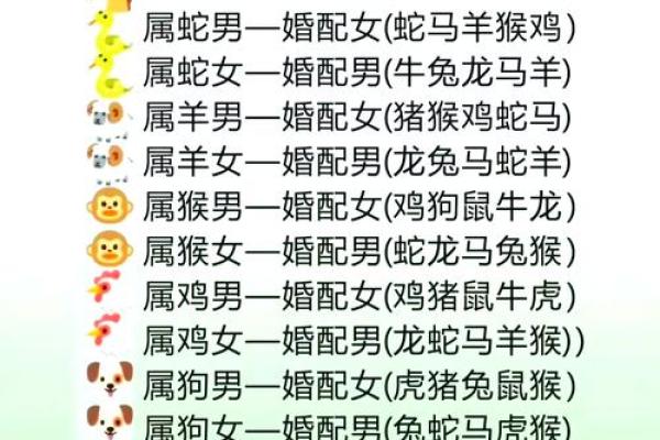 属龙女与属马相配吗(龙女与马男的配对合适吗)