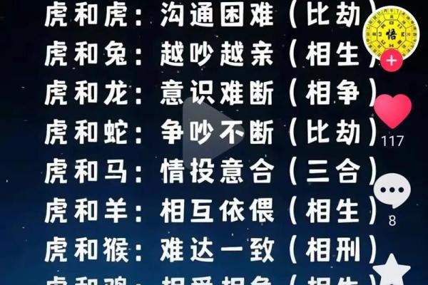 属虎跟属兔子相配吗(属虎与属兔的配对情况如何)