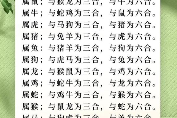 属鸡的男和属鼠的女婚姻,属鸡男性与属鼠女性的婚姻关系