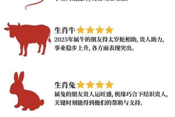 属龙和属鼠相配怎么样,属龙与属鼠的匹配情况如何